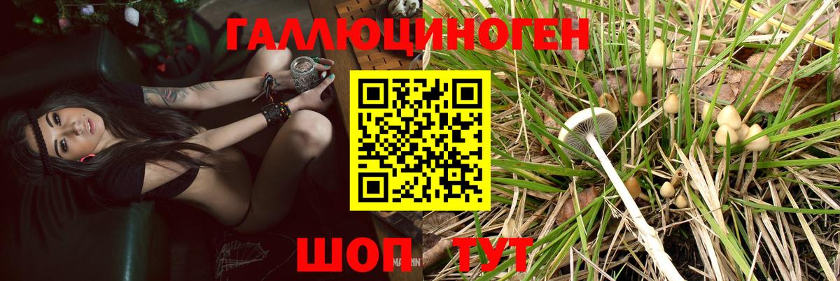 Псилоцибиновые грибы MAGIC MUSHROOMS  Псилоцибиновые грибы MAGIC MUSHROOMS  Рославль  Вход с VPN 